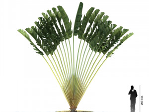 archmodels vol 61 Trees Low-poly and more 3D Model