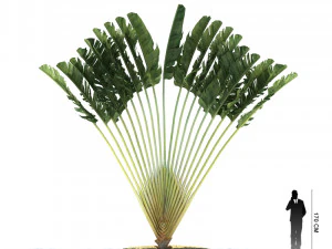 archmodels vol 61 Trees Low-poly and more 3D Model