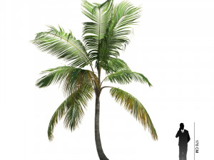 archmodels vol 61 Trees Low-poly and more 3D Model
