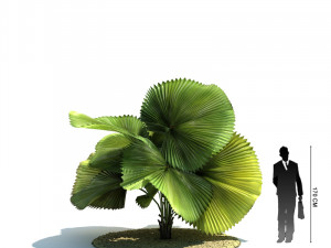 archmodels vol 61 Trees Low-poly and more 3D Model