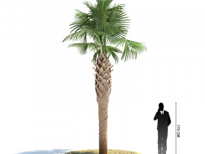 archmodels vol 61 Trees Low-poly and more 3D Model