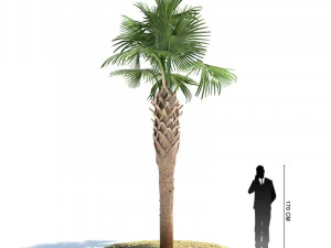 archmodels vol 61 Trees Low-poly and more 3D Model