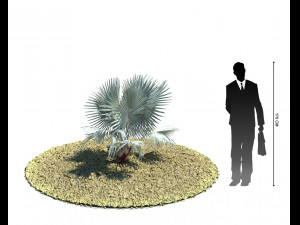 archmodels vol 61 Trees Low-poly and more 3D Model