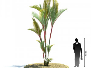 archmodels vol 61 Trees Low-poly and more 3D Model