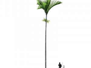 archmodels vol 61 Trees Low-poly and more 3D Model