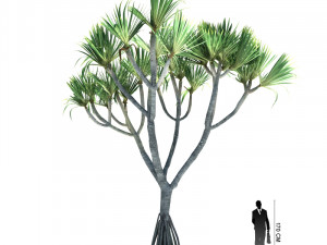 archmodels vol 61 Trees Low-poly and more 3D Model