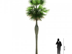 archmodels vol 61 Trees Low-poly and more 3D Model
