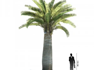 archmodels vol 61 Trees Low-poly and more 3D Model