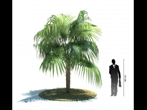 archmodels vol 61 Trees Low-poly and more 3D Model
