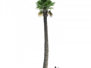 archmodels vol 61 Trees Low-poly and more 3D Model