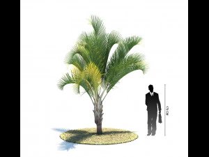 archmodels vol 61 Trees Low-poly and more 3D Model