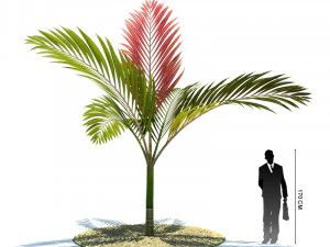 archmodels vol 61 Trees Low-poly and more 3D Model