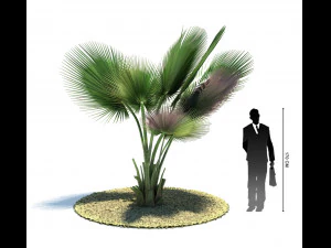 archmodels vol 61 Trees Low-poly and more 3D Model