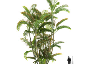 archmodels vol 61 Trees Low-poly and more 3D Model