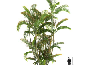 archmodels vol 61 Trees Low-poly and more 3D Model