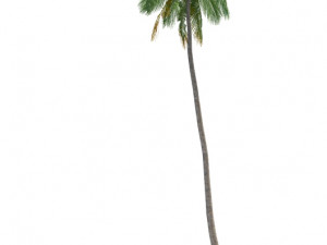 archmodels vol 61 Trees Low-poly and more 3D Model