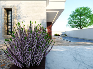 of a classic style villa 3D 모델