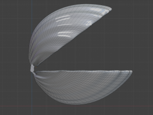 Ring shell 3D Принт Модель