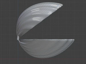 Ring shell 3D Print Model