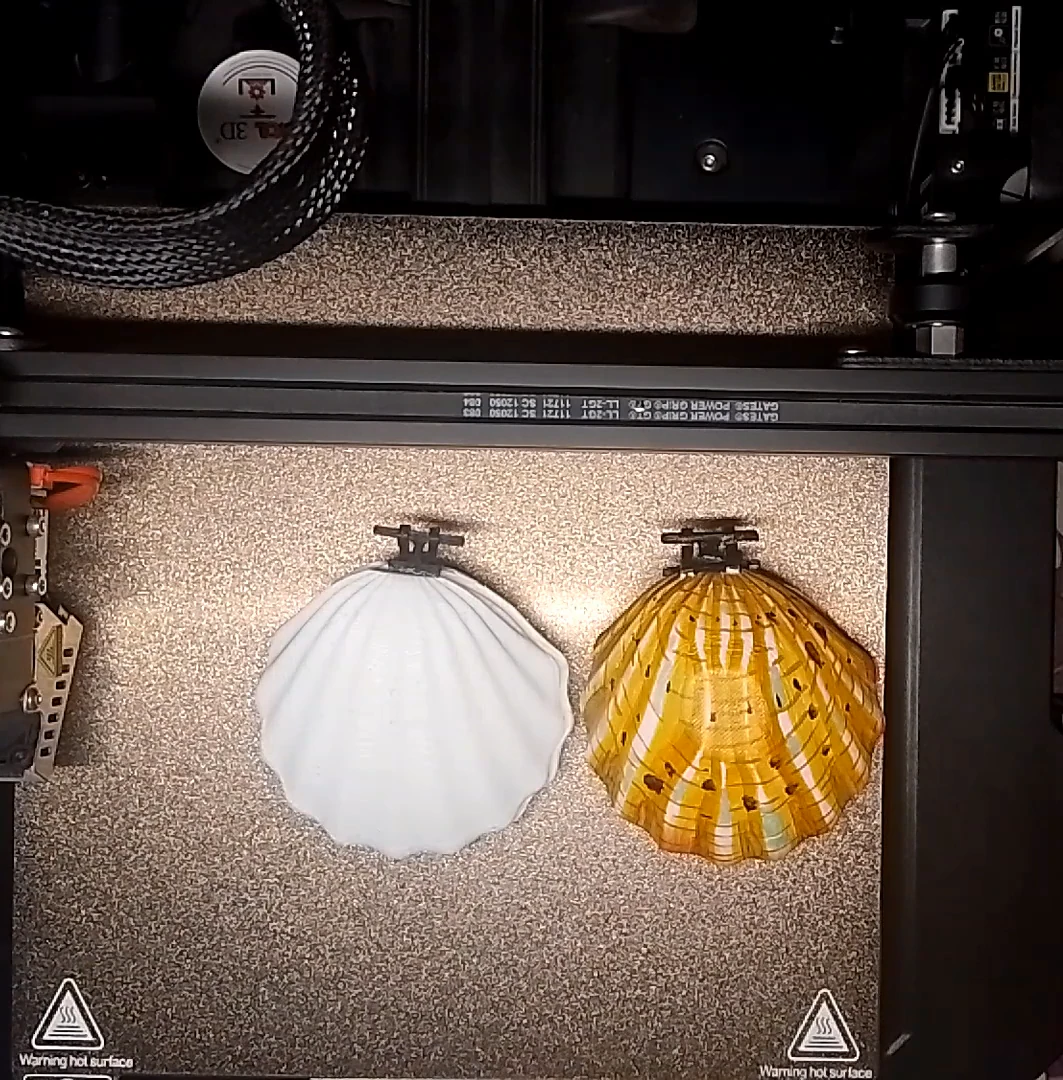 Ring shell 3D Print Model .c4d .max .obj .3ds .fbx .stl .blend 