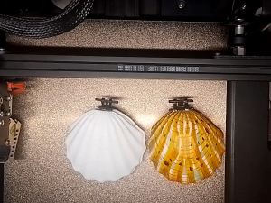 Ring shell 3D Print Model