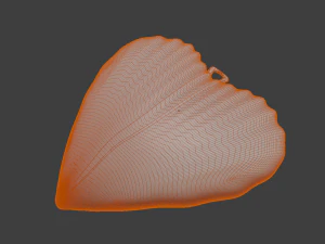 HEART SHELL PENDANT 3D Print Model