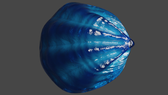 Fan Sea Shell Model 3D .c4d .max .obj .3ds .fbx .stl .blend 