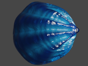 Fan Sea Shell 3D Model