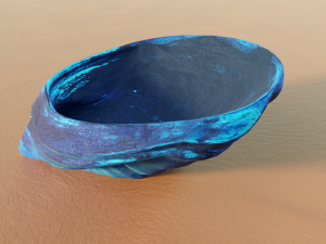 Fan Sea Shell Model 3D