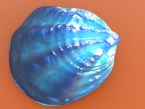 Fan Sea Shell Model 3D