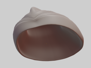 Fan Sea Shell Model 3D