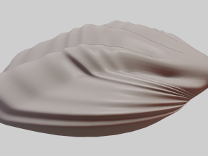 Fan Sea Shell Model 3D