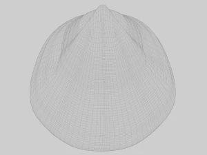 Fan Sea Shell 3D Model