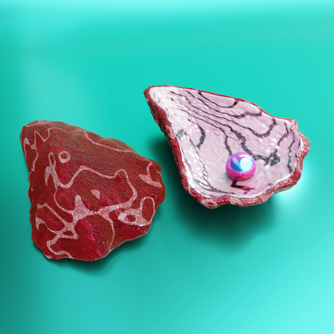 Oyster Shell Vol 4 3D Model .c4d .max .obj .3ds .fbx .stl .blend 