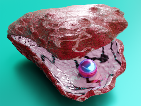 Oyster Shell Vol 4 3D Model