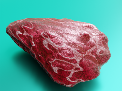 Oyster Shell Vol 4 3D Model