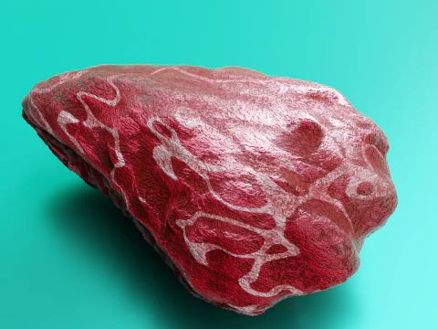 Oyster Shell Vol 4 3D Model