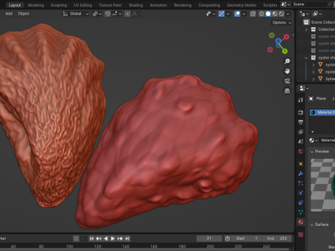 Oyster Shell Vol 4 3D Model