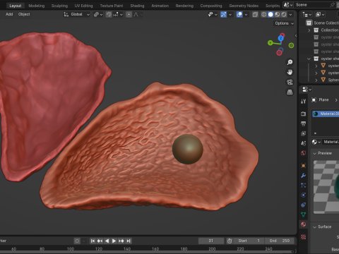 Oyster Shell Vol 4 3D Model