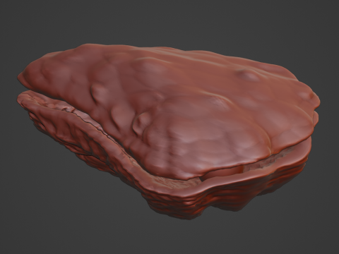 Oyster Shell Vol 4 3D Model