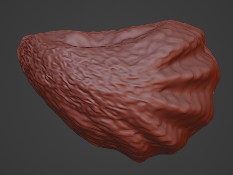 Oyster Shell Vol 4 3D Model