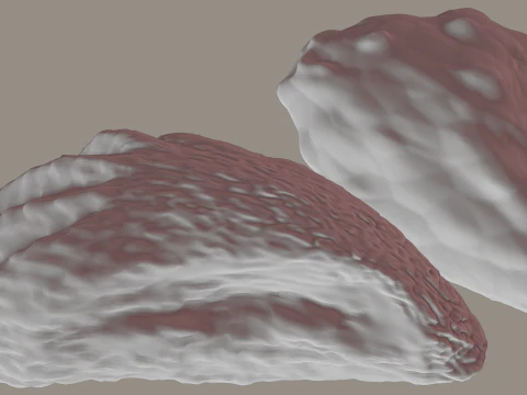 Oyster Shell Vol 4 3D Model