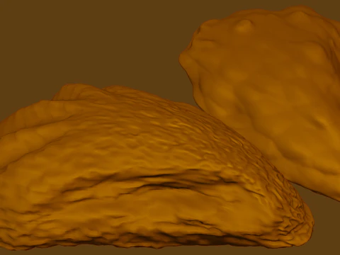 Oyster Shell Vol 4 3D Model