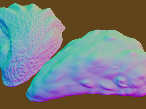 Oyster Shell Vol 4 3D Model