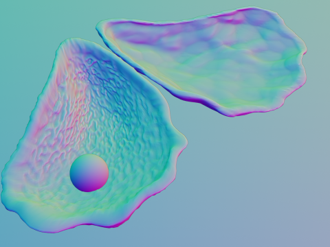 Oyster Shell Vol 4 3D Model
