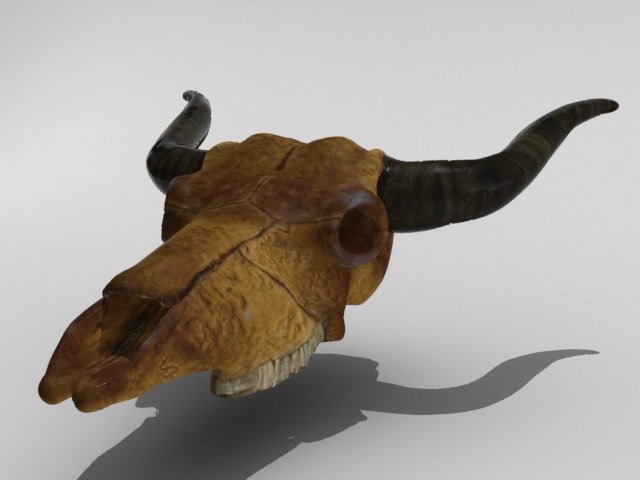 cow skull 3D Модель .c4d .max .obj .3ds .fbx .stl .blend 