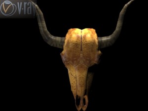 cow skull 3D Модель