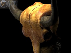 cow skull 3D Модель