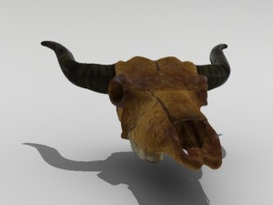 cow skull 3D Модель