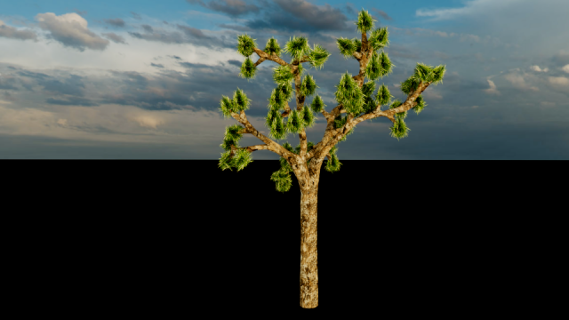 joshua tree Modelo 3D .c4d .max .obj .3ds .fbx .stl .blend 